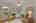 Blurred preview of media: 260140-14