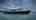Blurred preview of media: Dorothy Gayle-63