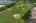 Blurred preview of media: iPixx_11_1