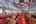 Blurred preview of media: IMG_4822_3_4