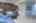 Blurred preview of media: j2