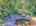 Blurred preview of media: DJI_20250802143057_0520_D_1_D_2_D_easyHDR
