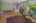 Blurred preview of media: 14