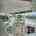 Blurred preview of media: Dorie Lu-31