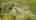 Blurred preview of media: DJI_0578