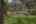 Blurred preview of media: 11303VanceJacksonG4-2