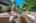 Blurred preview of media: 47
