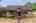 Blurred preview of media: 01