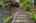 Blurred preview of media: 34