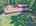Blurred preview of media: DJI_20260829120051_0204_D_5_D_6_D_easyHDR