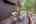 Blurred preview of media: PAX_1903