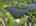 Blurred preview of media: 15-phlox-terrace-glenwood-nj-usa-new-drone-003