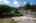 Blurred preview of media: 20250618L_lg_JW0022