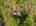 Blurred preview of media: 817 Brill Road Aerial LRCF-61