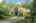 Blurred preview of media: 277 Main Street Bolton Massachusetts Job 38618 0004