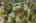 Blurred preview of media: 6812 Aerial 1