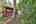 Blurred preview of media: IMG_3321_2_3_easyHDR