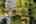 Blurred preview of media: 1-29