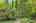 Blurred preview of media: 260141-26a