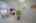 Blurred preview of media: 4376 (67 - 83)