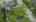 Blurred preview of media: DJI_0206