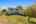 Blurred preview of media: IMG_4719