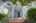 Blurred preview of media: 2-826-5659