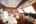 Blurred preview of media: SS Whatever-28