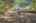 Blurred preview of media: 129MorrisSt-14