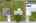 Blurred preview of media: iPixx_10_17