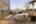 Blurred preview of media: h_haylock-6