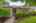Blurred preview of media: 01