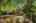 Blurred preview of media: 1-56