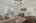 Blurred preview of media: 017
