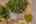 Blurred preview of media: 5500MeadowOakSt-56