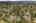 Blurred preview of media: Aerial 08