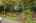 Blurred preview of media: 1-55