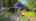 Blurred preview of media: IMG_5836