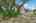 Blurred preview of media: 1309 Hideaway Drive S-6