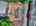 Blurred preview of media: DJI_20260613114239_0716_D_7_D_8_D_easyHDR