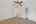Blurred preview of media: 2866 Wonderwood -50
