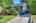 Blurred preview of media: 260190-19a