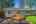 Blurred preview of media: DSC09662
