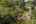 Blurred preview of media: 1-24