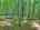 Blurred preview of media: DJI_20260608135657_0503_D_4_D_5_D_easyHDR