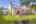 Blurred preview of media: IMG_6665