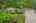 Blurred preview of media: 05