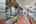 Blurred preview of media: IMG_4837_8_9