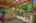 Blurred preview of media: 37