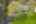 Blurred preview of media: 2